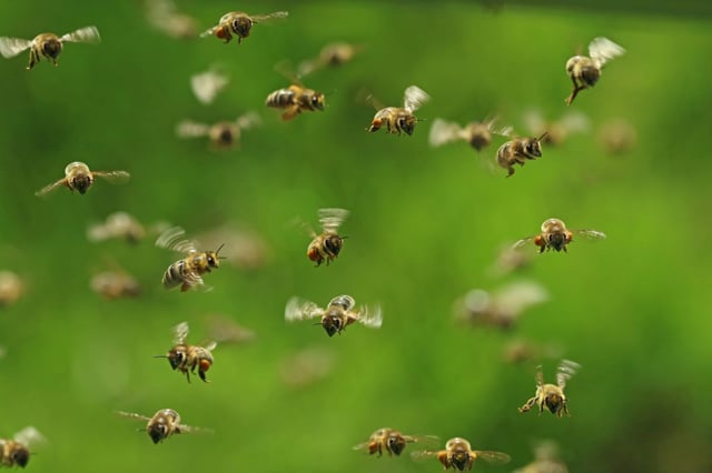 (Representational Image: iStock)