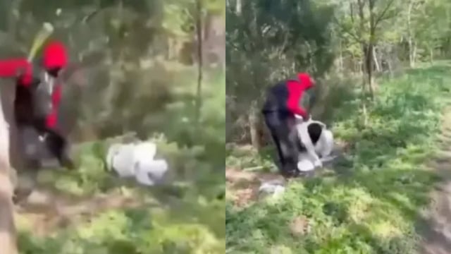 Teens attack 2 girls in NYC park