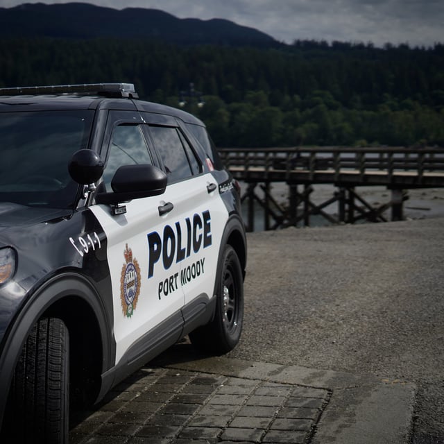 A naked man has been arrested in Port Moody after allegedly assaulting a stranger at Rocky Point Park and threatening people with a knife in a nearby restaurant.