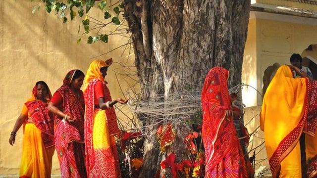 Vat Savitri vrat is a sacred festival celebrating devotion and marital bliss. 