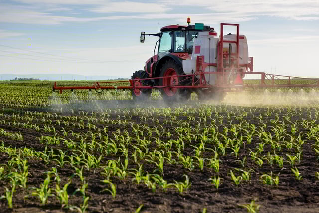 La mesure la plus décriée du texte est la réintroduction dérogatoire de l’acétamipride, cet insecticide de la famille des néonicotinoïdes, interdit en France depuis 2018 mais autorisé ailleurs en Europe jusqu’en 2033.
