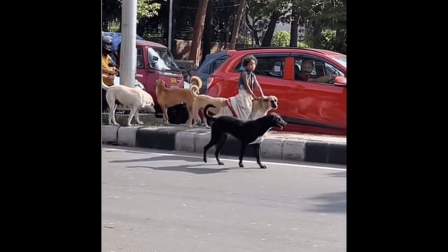 This Girl Is Going Viral With Her 'Z Security'