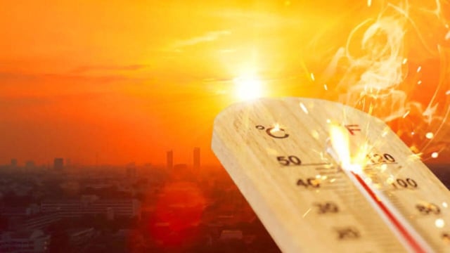 Punjab Schools Closed, Summer Vacation Announced From June 2-30 Amid Heatwave