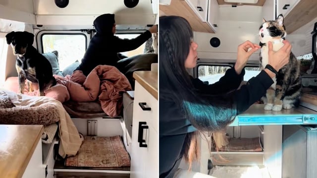 Sara Dungo entschied sich 2019 für ein Leben im Van und reiste seitdem mit ihren drei Haustieren quer durch die USA.  (Bildmontage)