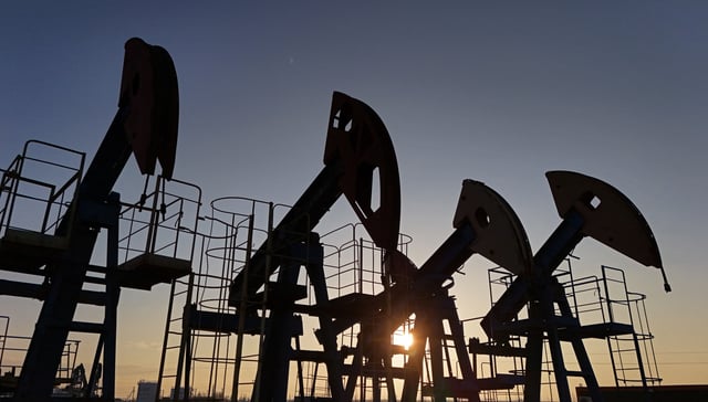 A view shows disused oil pump jacks at the Airankol oil field operated by Caspiy Neft in the Atyrau Region, Kazakhstan April 2, 2025. REUTERS/Pavel Mikheyev/File Photo