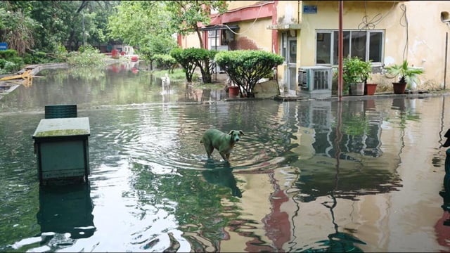 Waterlogged ITO, another hot spot. (Arvind Yadav/HT Photo)