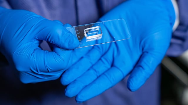 Texas A&M University's vessel-chip.