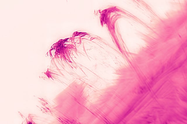© Schmidt et al./NJIT/NSO/AURA/NSF