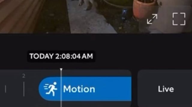 An elusive apex predator was spotted roaming through a California yard on the home’s doorbell camera, officials said.