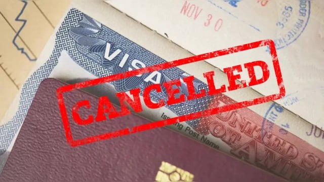 OPT Students In US At Risk: Trump's USCIS Nominee Vows To End Program, Deportation If...