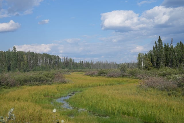 A stream runs along the outskirts of Neskantaga First Nation in Neskantaga, Ont., Sunday, Aug. 20, 2023. THE CANADIAN PRESS/Chris Young