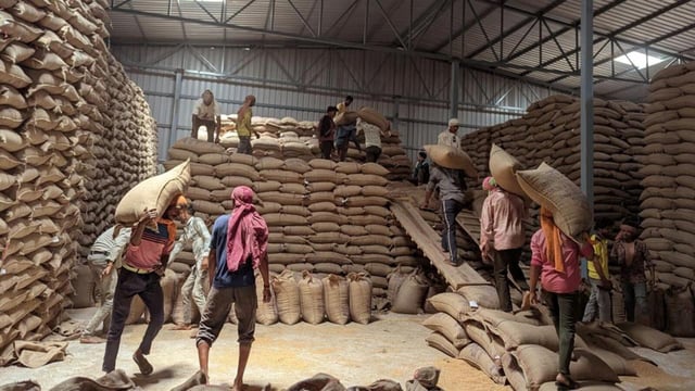 Labourers stack sacks of wheat in a warehouse in Madhya Pradesh. (REUTERS FILE)