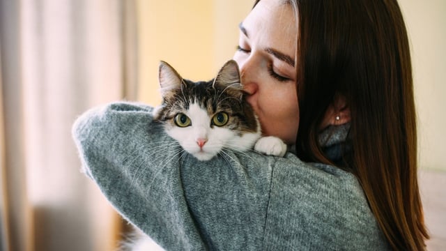 Cats were more interested in strangers’ smells than those of their owners