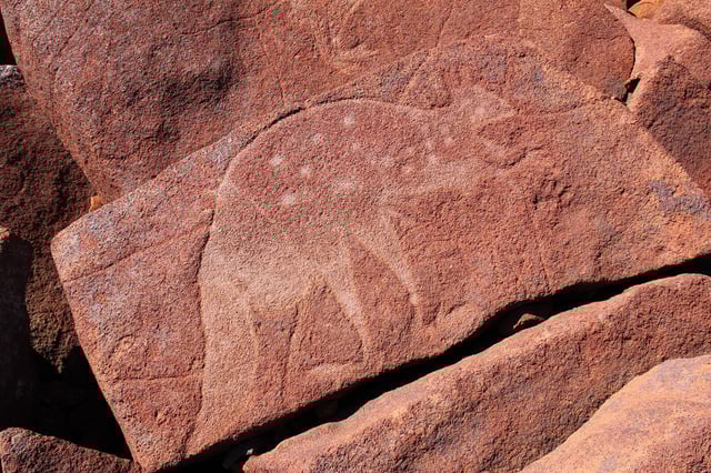 Fat-tail petroglyph
