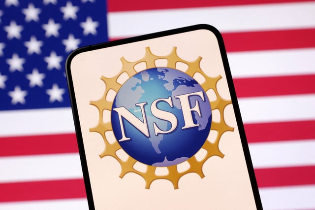 United States National Science Foundation logo and U.S. flag are seen in this illustration taken April 23, 2025. REUTERS/Dado Ruvic/Illustration
