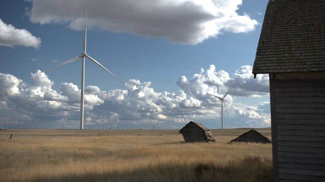 A new report from the Pembina Institute says provincial government's policies towards renewable energy have weakened investors confidence in the industry in Alberta.