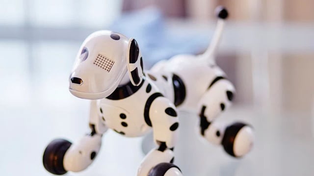 robot dog rep image