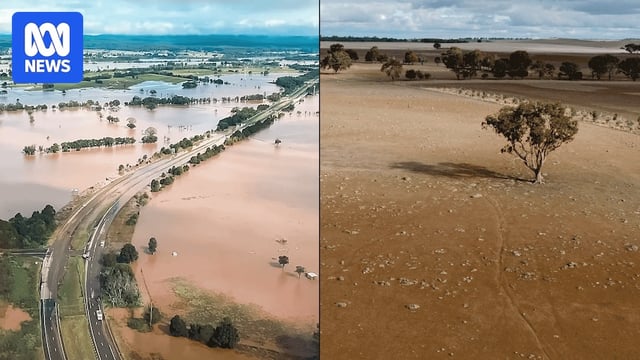 A composit image of an aerial of a flooded landscape and an image of dry landcape with a lone tree.