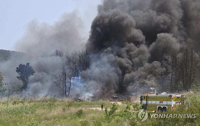 Smoke billows on a mountain in the southeastern city of Pohang after a Navy maritime patrol aircraft crashed at around 1:50 p.m. on May 29, 2025, in this photo provided a reader. (PHOTO NOT FOR SALE) (Yonhap)