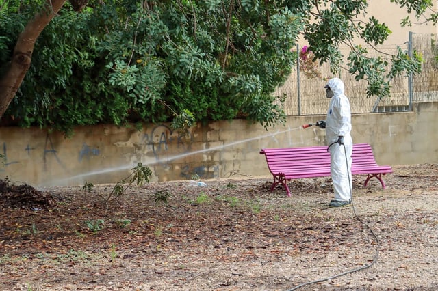 Campaña contra el mosquito tigre en Torrent.