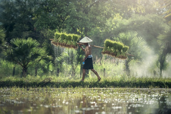 Kim et al. hypothesize that the vast interindividual differences in shift work adaptation -- critical for shift worker health -- can in part be explained by biological mechanisms for seasonal timing. Image credit: Sasin Tipchai.
