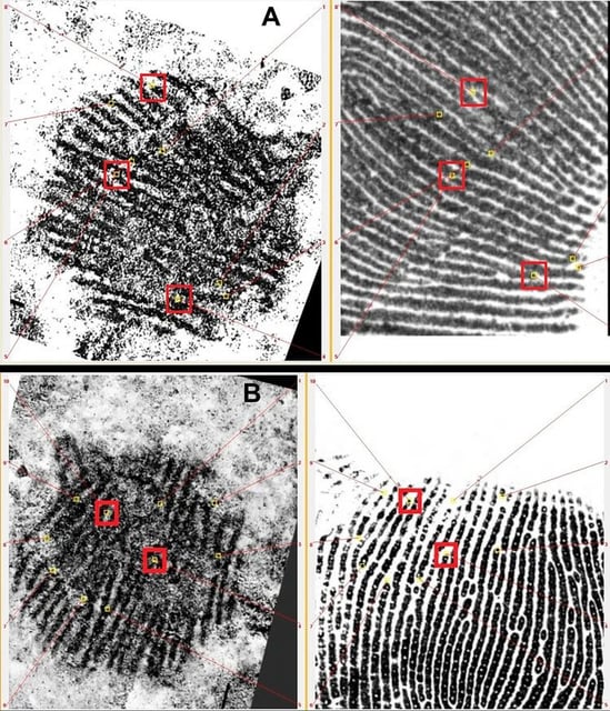 A. Experts used an Automated Biometric Identification System to study the print. These images show characteristic points detected by the system that coincide with the central part of a finger. B. Characteristic points identified here coincide with the palm.