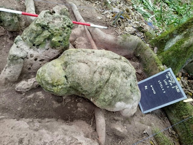 Cette photo non datée publiée par le ministère guatémaltèque de la Culture le 29 mai 2025 montre deux sculptures anthropomorphes qui "représentent un couple ancestral", découvertes sur le site archéologique d'Uaxactún, au Guatemala