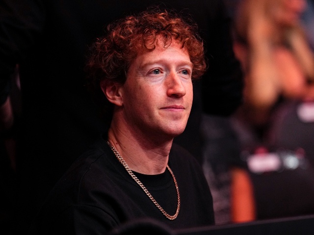 Meta boss Mark Zuckerberg at the fights