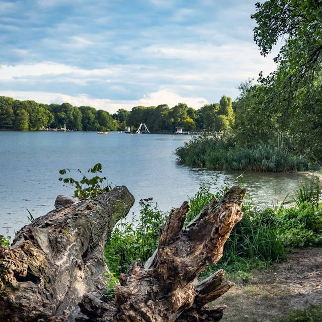 Am Tegeler See sind schon in diesem Jahr Blaualgen aufgetreten.