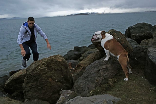 Klay Thompson plays with his dog Rocco at Cesar Chavez Park in Berkeley on November 19, 2014. The former Golden State Warriors star is now mourning the loss of his longtime companion, who passed away over the weekend at age 13.