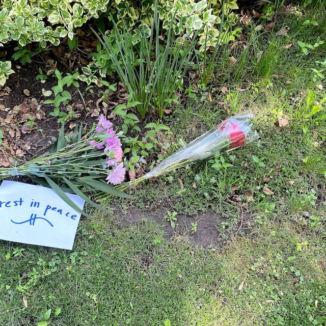 Community members in Pickering, Ont., are reeling after a 13-year-old boy was arrested following the fatal stabbing of an elderly woman outside her home yesterday. A small memorial to the slain woman is seen in Pickering on Friday, May 30, 2025. THE CANADIAN PRESS/Sharif Hassan