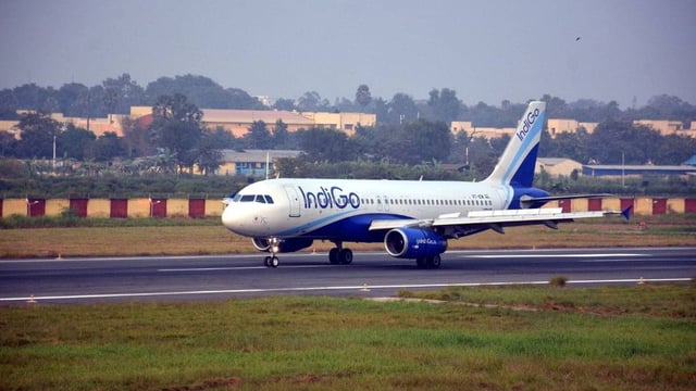 IndiGo Airlines, DGCA, Turkish Airlines  | Image: PTI