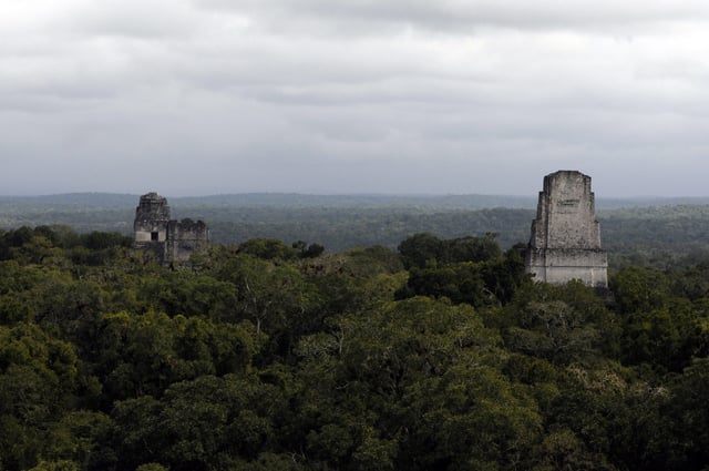 Tikal war die wichtigste Statt der antiken Maya-Zivilisation in der Provinz Peten. In der Nähe der Stadt haben Archäologen jetzt eine große Entdeckung gemacht.