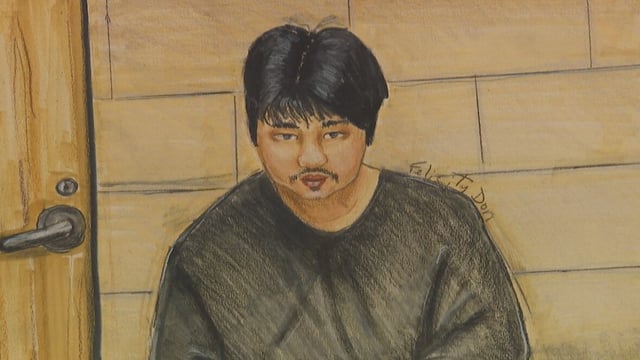 A two-day trail has been ordered to assess the mental fitness of Kai Ji Adam Lo, the  suspect charged with eight counts of second-degree murder in the Vancouver Lapu Lapu Day festival attack.