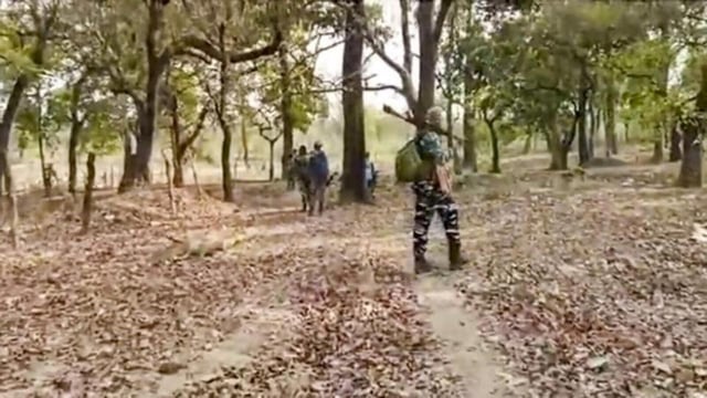 Nine teams of the special operations group of the Odisha police, Jaguar team of the Jharkhand police, CRPF, and CoBRA started a joint operation in the area. (PTI/ Representational image)