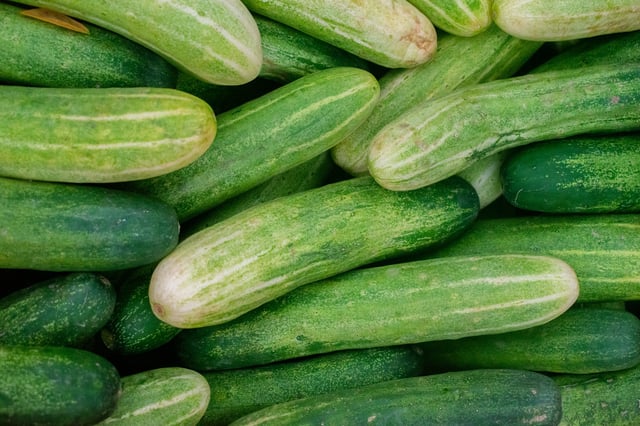 A recall of cucumbers grown by Florida-based Bedner Growers and distributed by Fresh Start Produce Sales linked to salmonella concerns has been expanded to 18 states, health officials say.
