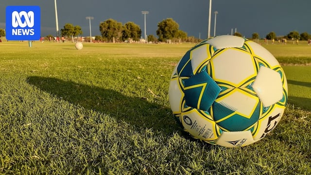 A soccer ball on a grassy pitch in late afternoon light