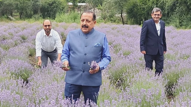 Photo: Dr. Jitendra Singh in a lavender field in Bhaderwah