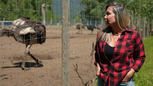 Katie Pasitney watches the ostriches on her mother's farm, Universal Ostrich, on May 21, 2025.