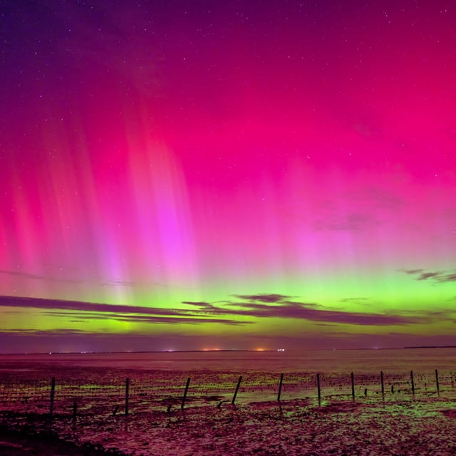25.09.2023: Polarlichter sind am Himmel über Schillig (Kreis Friesland) zu sehen