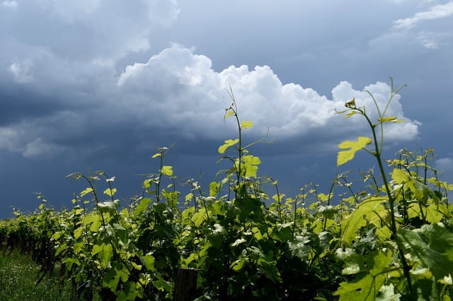 De forts orages sont attendus au sud et à l’est du pays. (Image d’illustration).