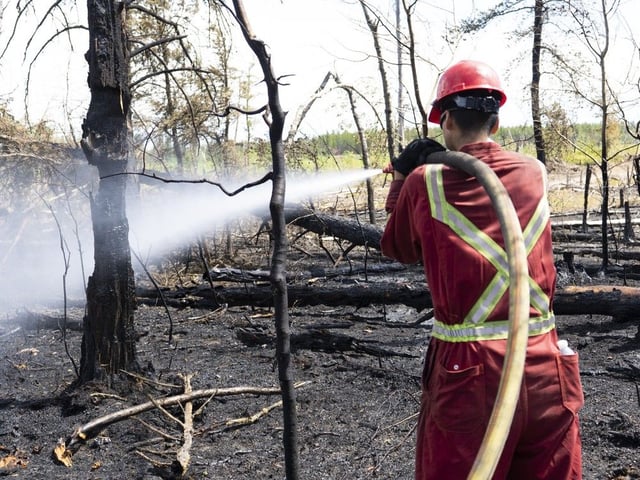Sometimes it takes a disaster like a forest fire to remind us that there are things bigger than politics.