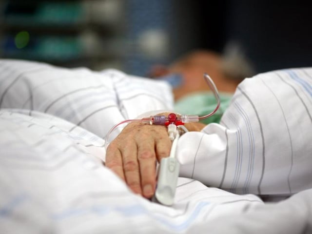 Das Borna-Virus ist selten, kann aber tödliche Folgen haben. Es gilt als Verursacher von Hirnentzündungen.