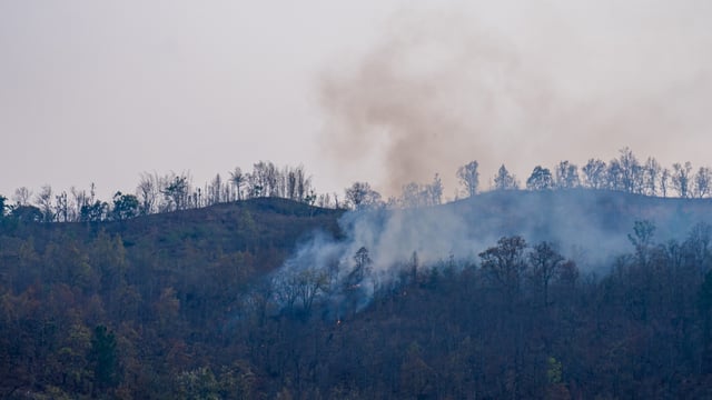 fire (4)