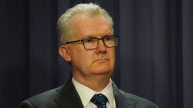 Home Affairs Minister Tony Burke. (AAP Image/Dominic Giannini)