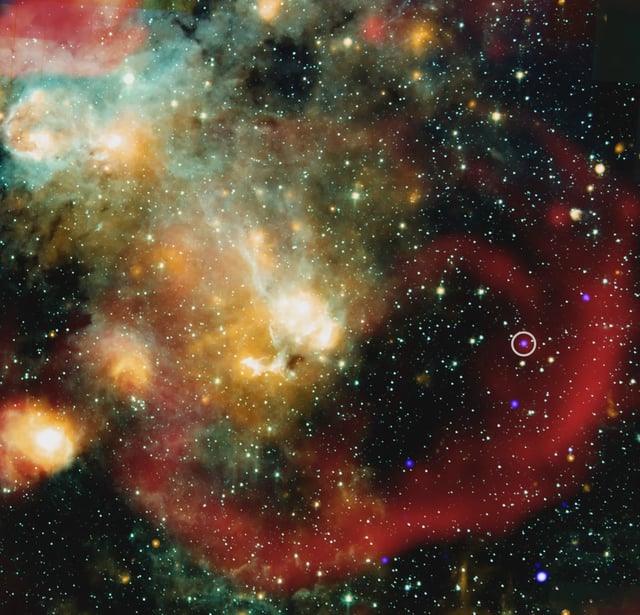 Scientists have discovered a star behaving like no other seen before, giving fresh clues about the origin of a new class of mysterious objects. X-ray: NASA/CXC/ICRAR, Curtin Univ./Z. Wang et al.; Infrared: NASA/JPL/CalTech/IPAC; Radio: SARAO/MeerKAT; Image processing: NASA/CXC/SAO/N. Wolk