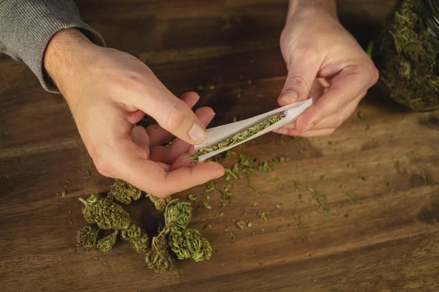 Male hands making marijuana joint