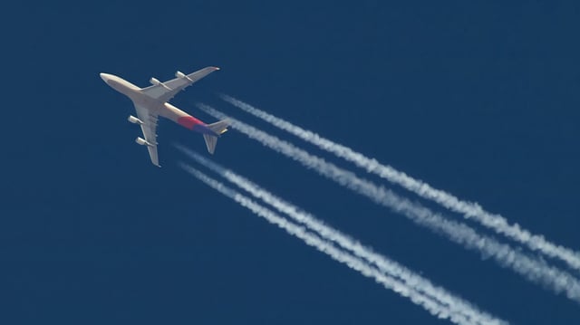 Photo: Andrzej Puchta (Shutterstock)