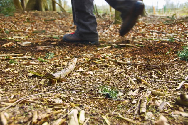 Six hikers from Texas, including five juveniles, were rescued in Colorado Saturday after becoming lost during a day hike at Greenhorn Mountain in the San Isabel National Forest. In this stock photo, a person is shown walking outdoors. 