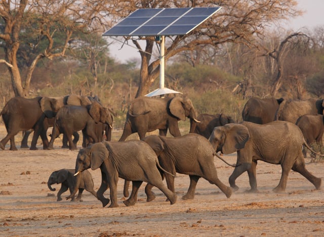 A group of elephants walk near a solar panel at a watering hole inside Hwange National Park, in Zimbabwe, October 23, 2019. REUTERS/Philimon Bulawayo/File Photo